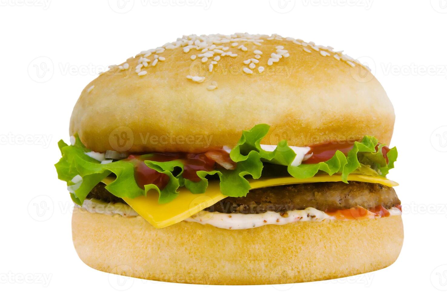 Fresh, tasty hamburger with vegetables and meat photo