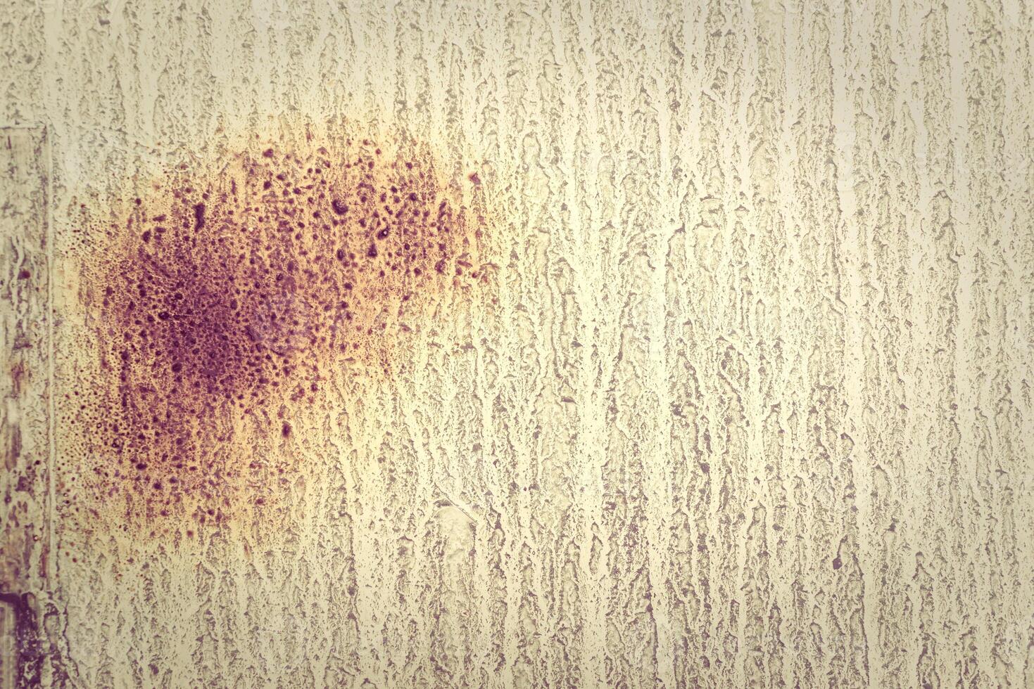 Texture of old plaster wall, urban background. photo