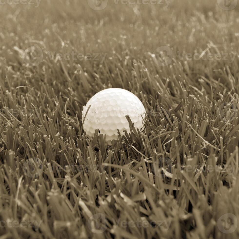 Game in the golf club against the background of the green juicy grass photo