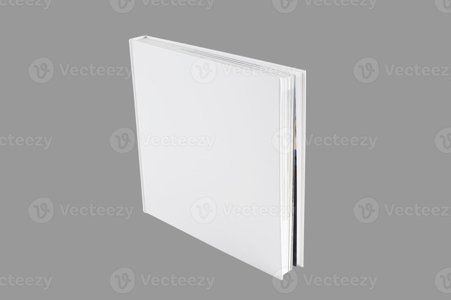 Mockup of the book photo
