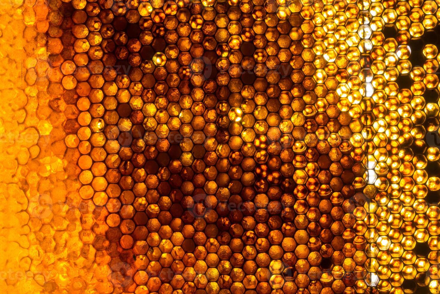 Studio Close-up of Honeycomb photo
