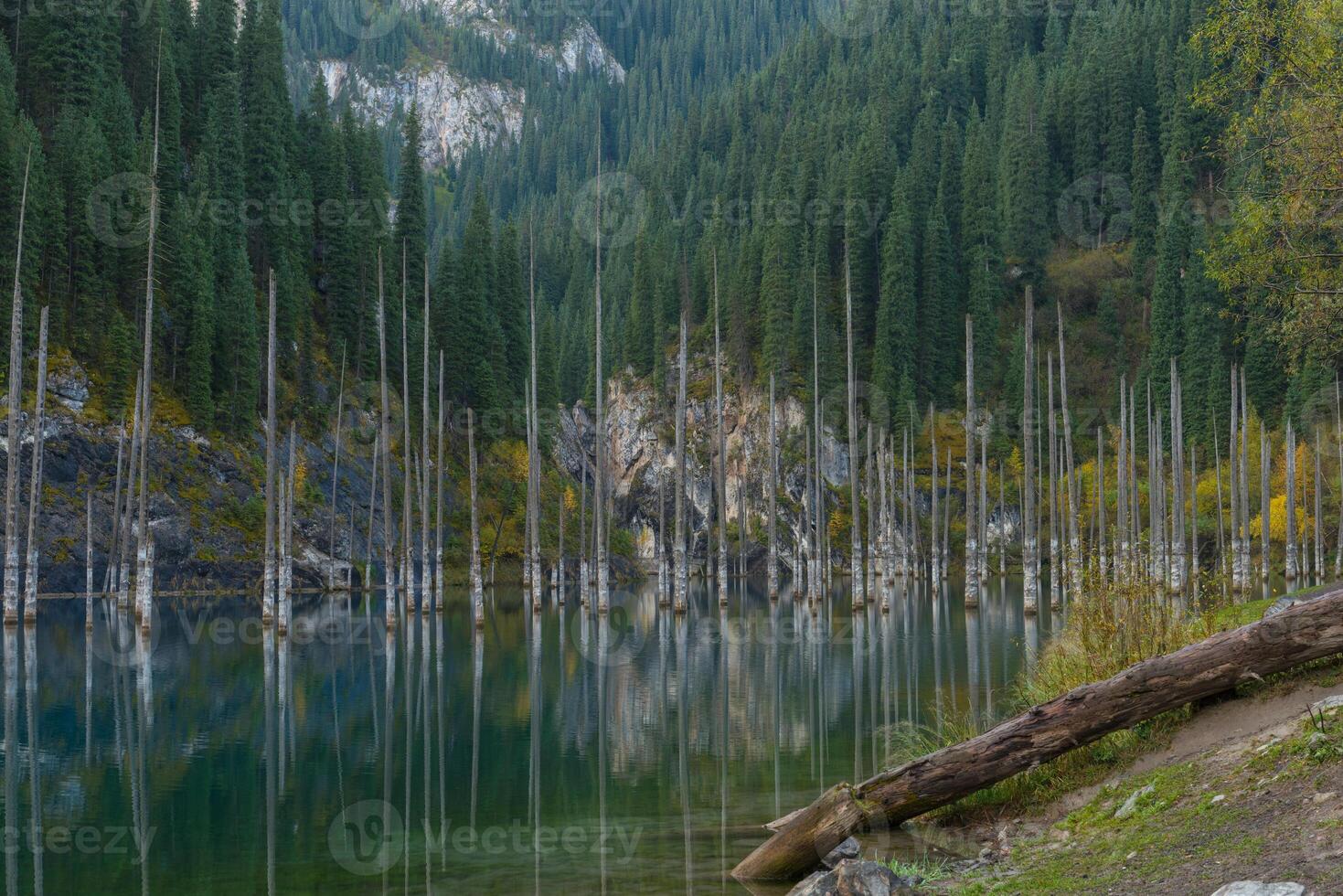 Kaindy lake in Tien-Shan mountains, Kazakhstan photo