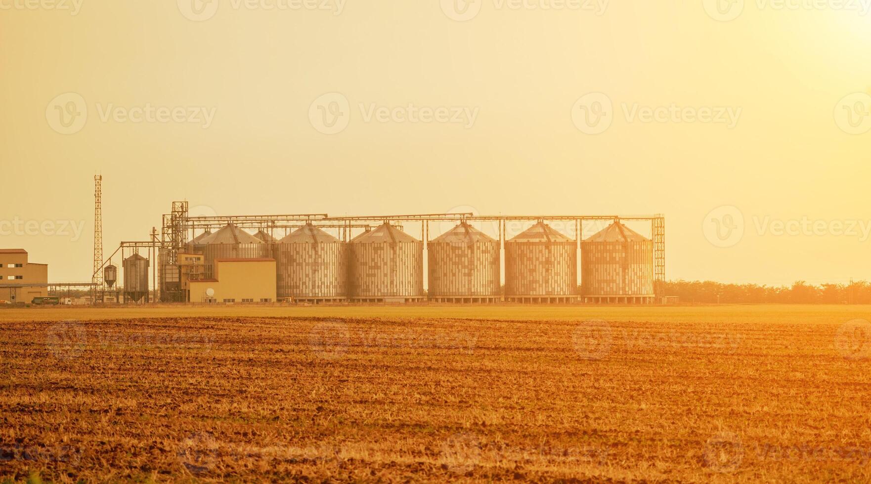 Silos and granary elevator. Modern agro-processing manufacturing plant with grain-drying complex. processing, drying, cleaning, and storing agricultural products in wheat, rye or corn fields photo