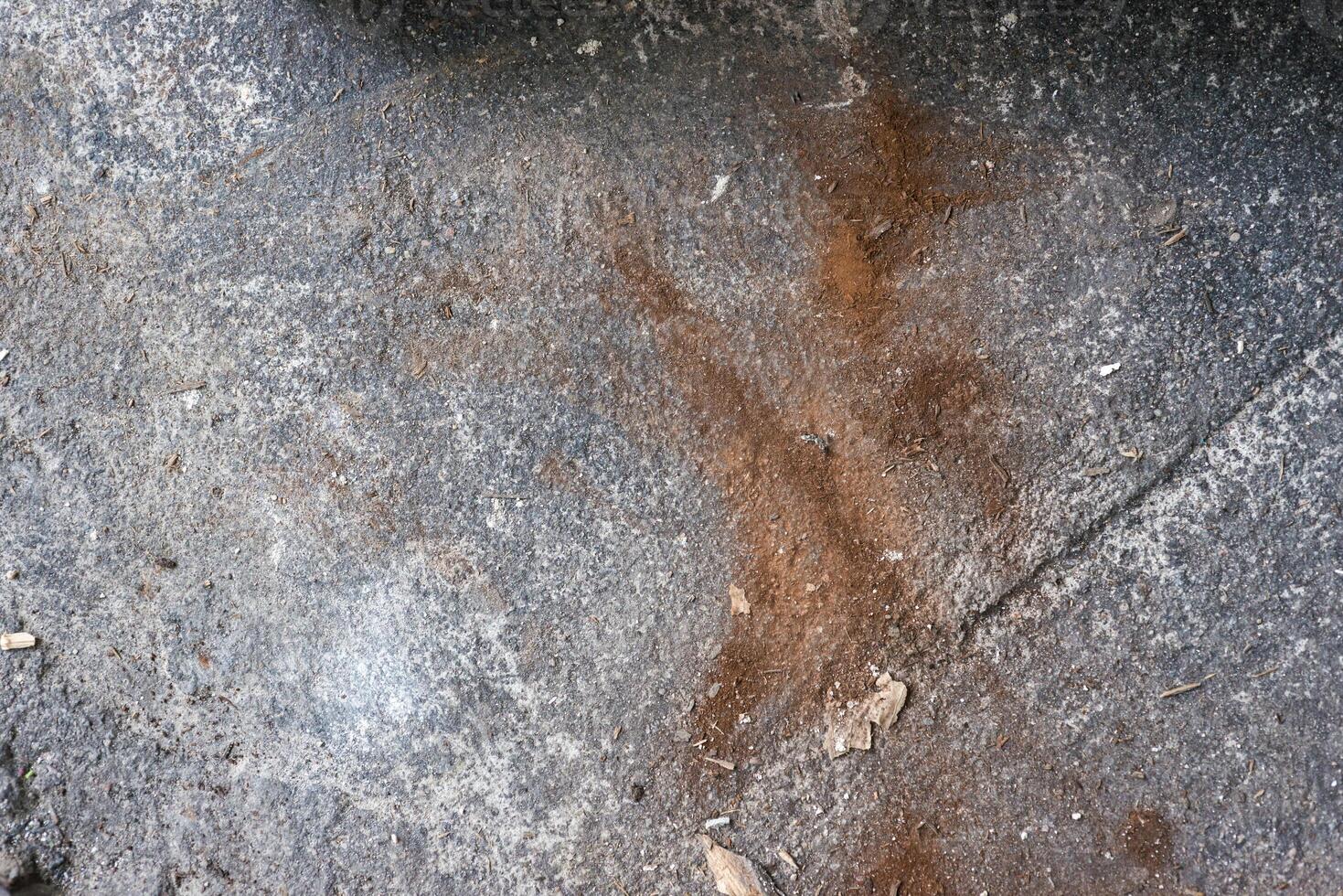Texture of a painted wall photo