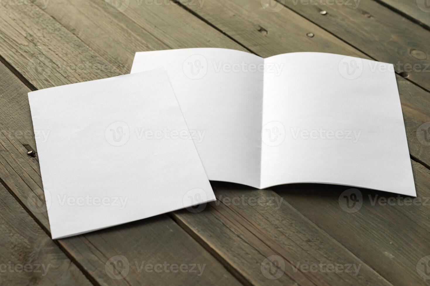 Template for branding identity. photo