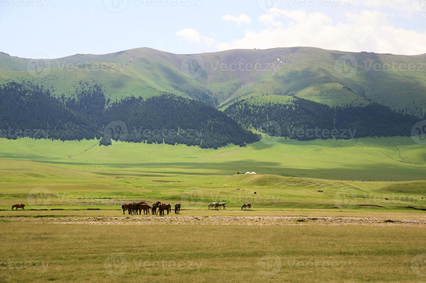 Assy Valley, Almaty Region photo