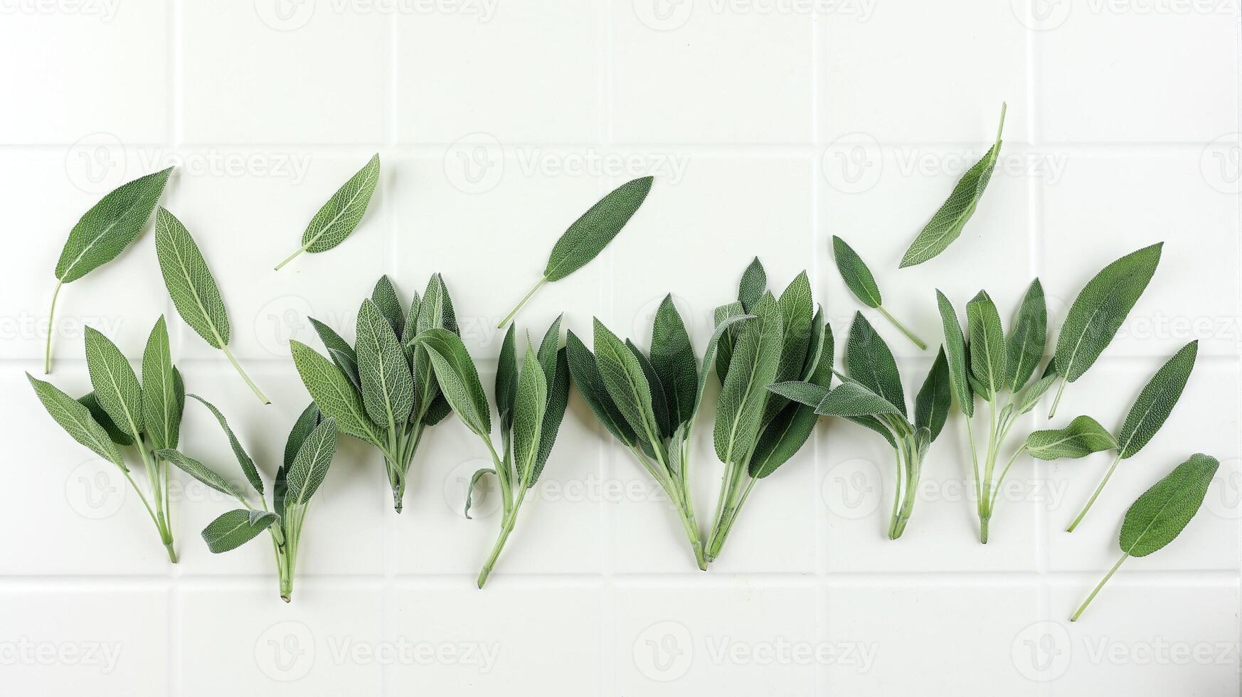 Fresh Sage Leaf on White Table photo