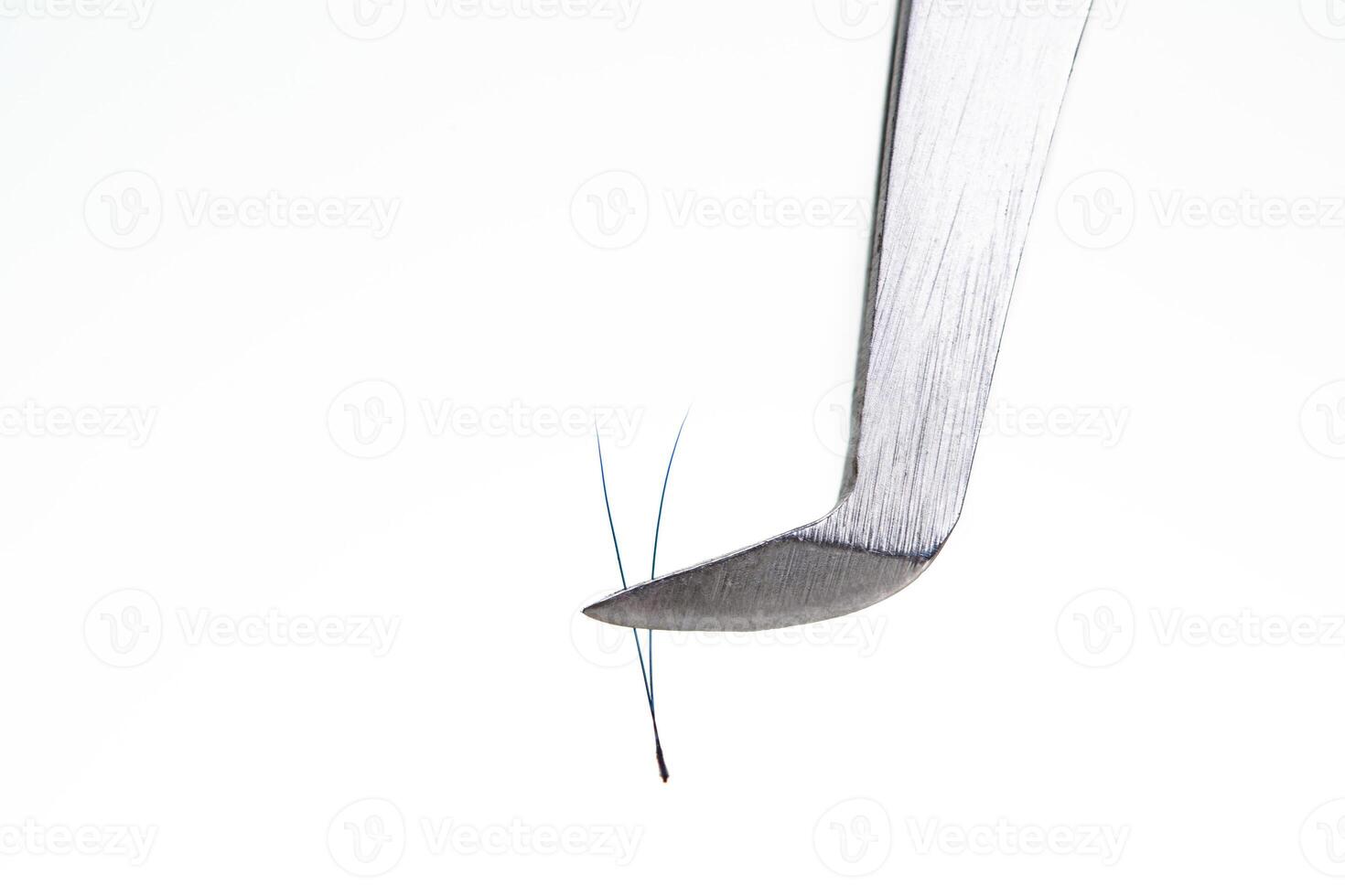 Eyelash Extension tools on white background. Accessories for eyelash extensions. Artificial Blue ombre lashes. 2D, closeup , selective focus. photo