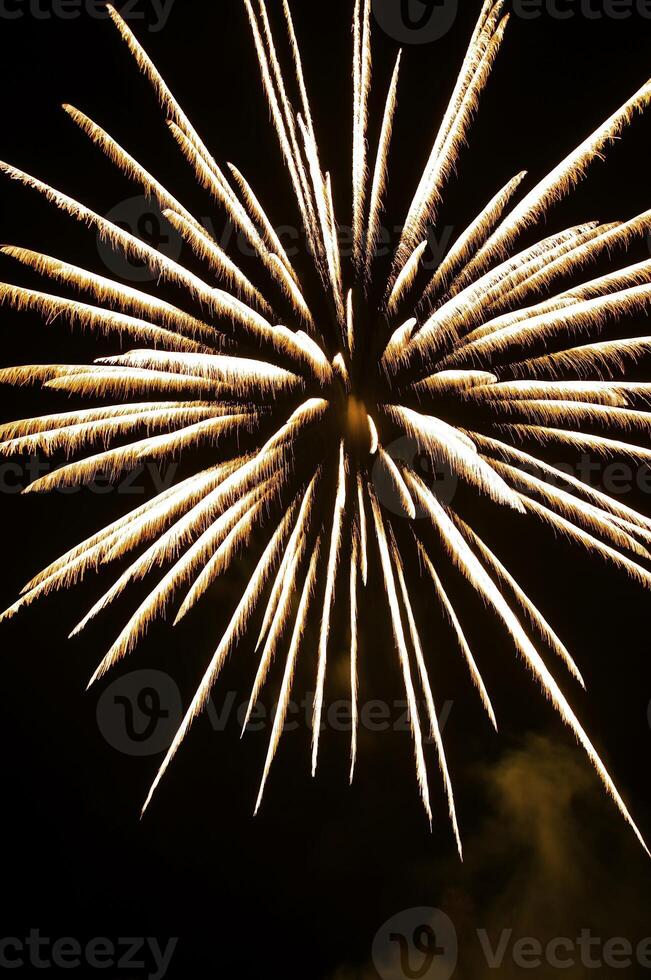 Fireworks in the night sky photo
