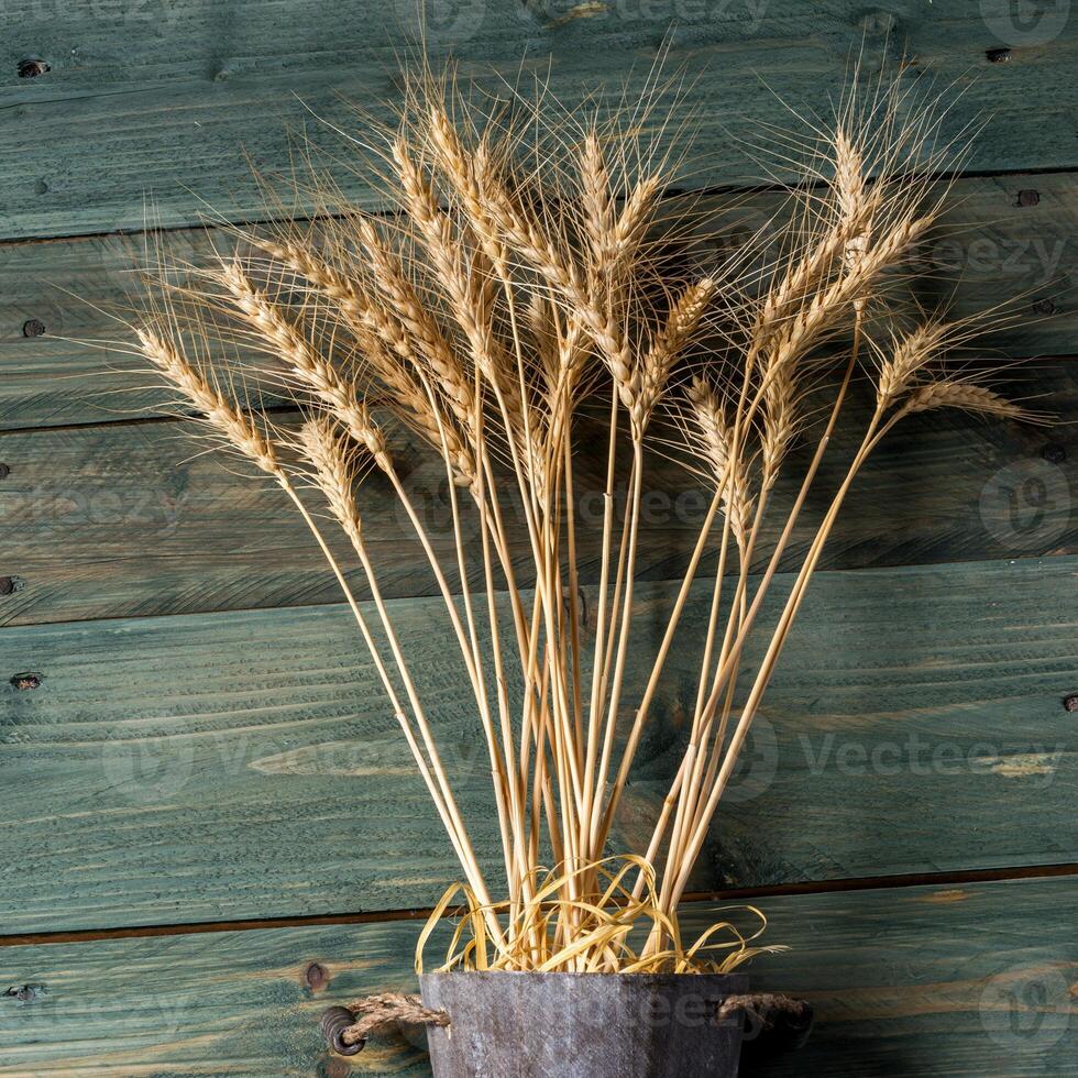 Mockup shot on wooden background photo