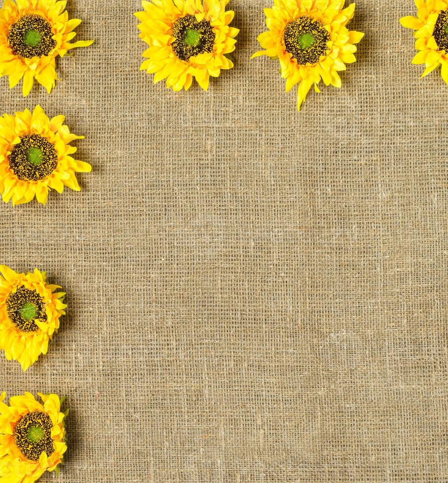 Summer yellow sunflowers organized on wooden background. Wooden space may be used for your own text or design. photo