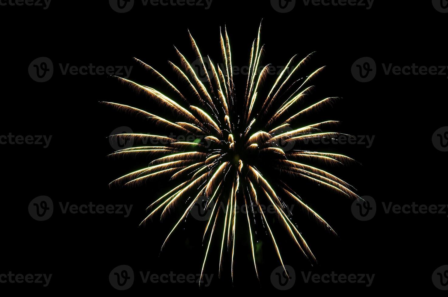 Fireworks in the night sky photo