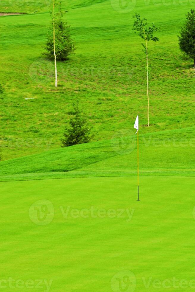 Game in the golf club against the background of the green juicy grass photo