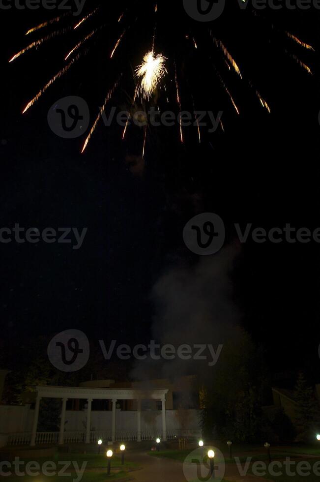 Fireworks in the night sky photo