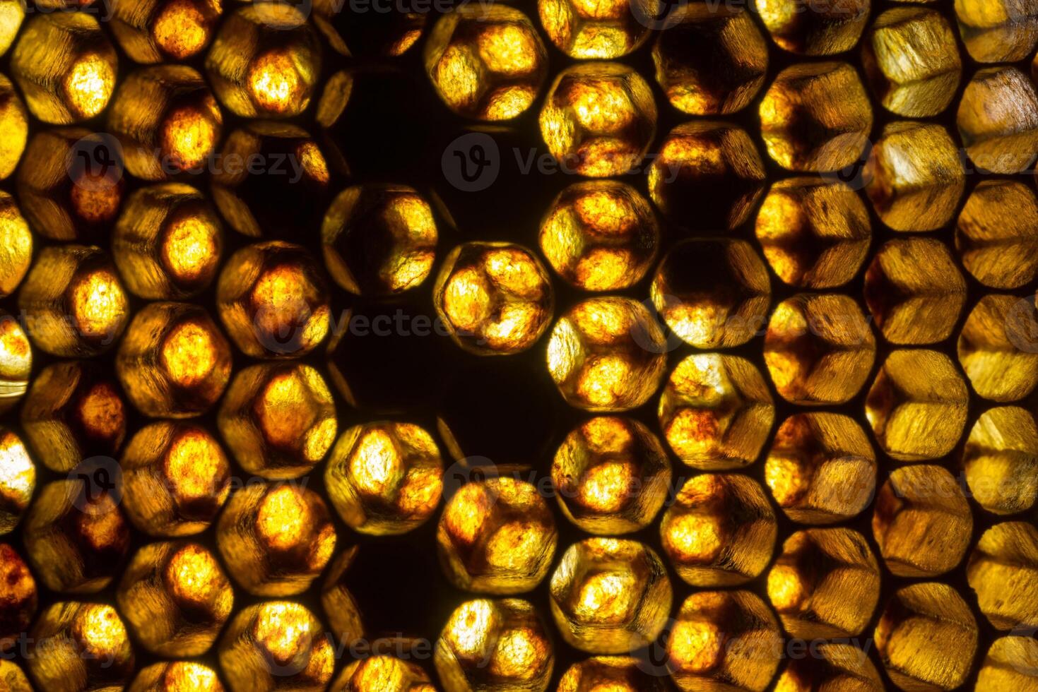 Studio Close-up of Honeycomb photo