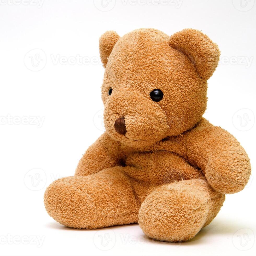 Teddy bear on a white background photo