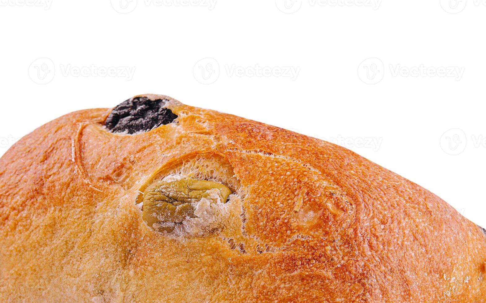 Fresh baked white wheat bread bun with green olives photo