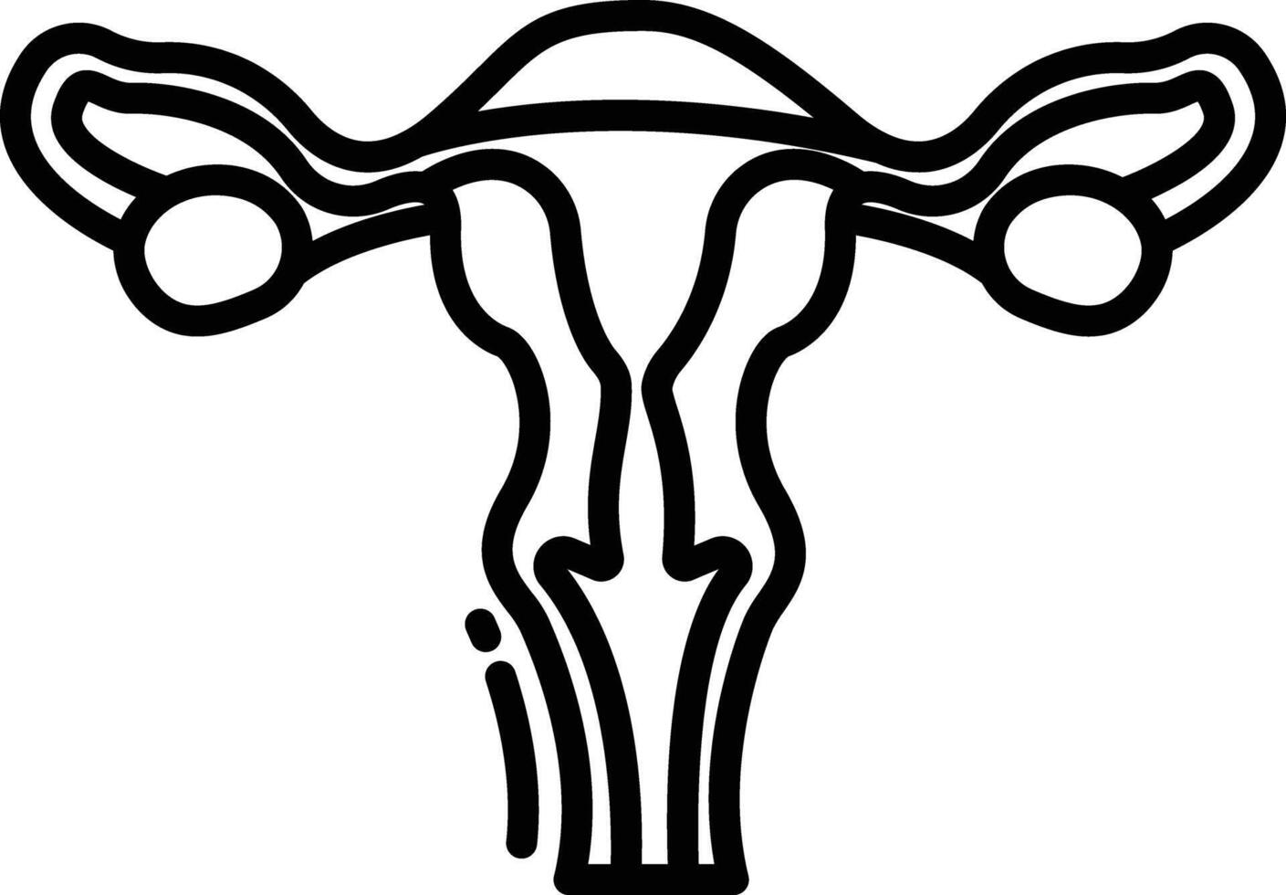 Reproductive system outline illustration vector