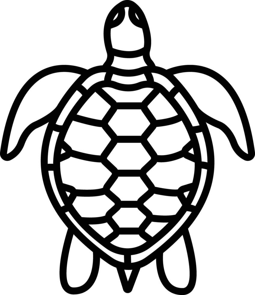 Turtle outline illustration vector