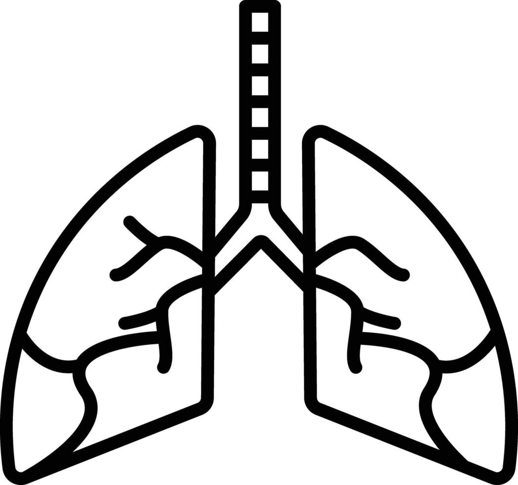 Lungs outline illustration vector