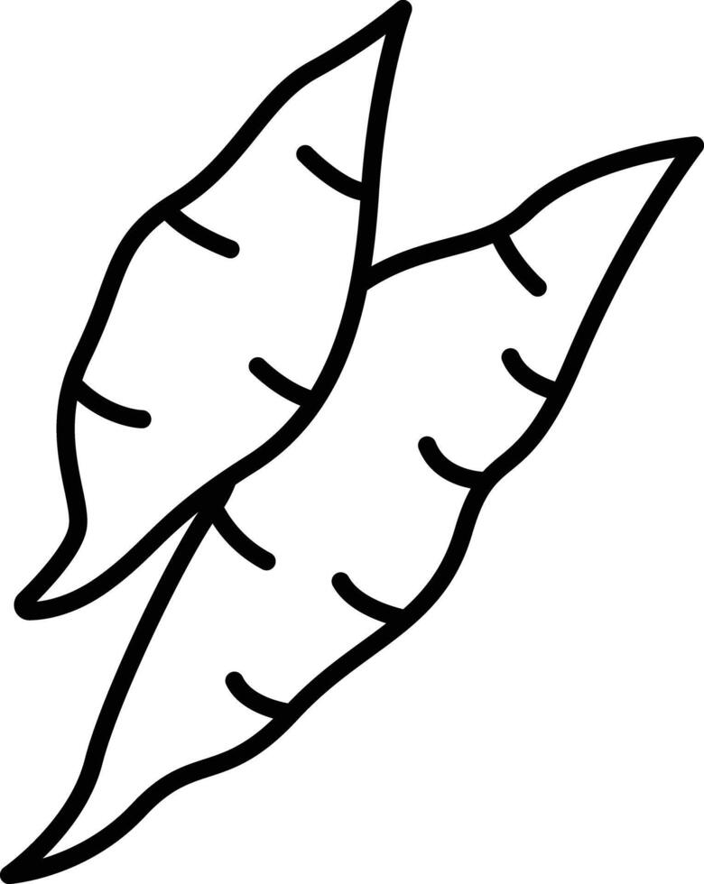 Yucca outline illustration vector