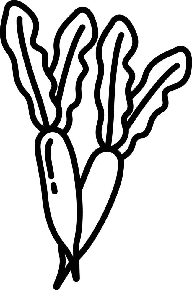 Radish outline illustration vector
