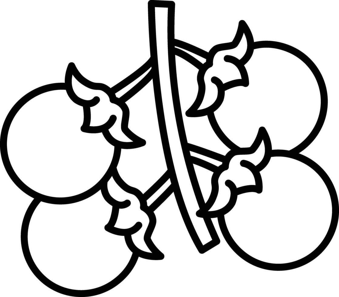 Cherry tomatos outline illustration vector