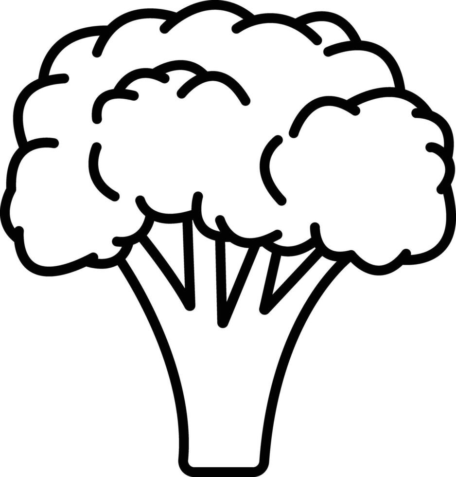 Broccoli outline illustration vector