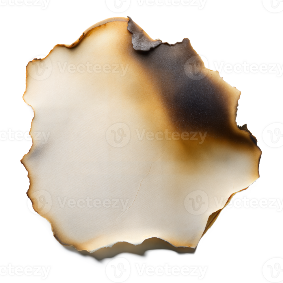 A single sheet of paper with burned and charred edges, displaying various shades of brown and black png
