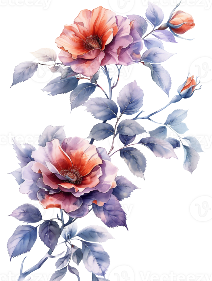 beautiful flower vines png