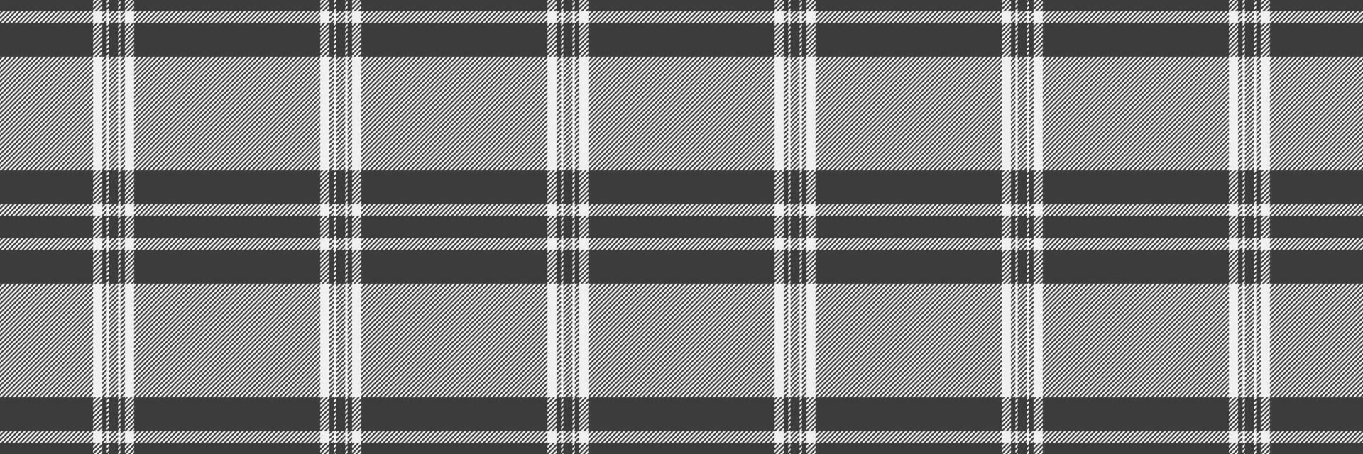 Teenager fabric textile texture, mexico pattern tartan. Tech check seamless background plaid in grey and white colors. vector