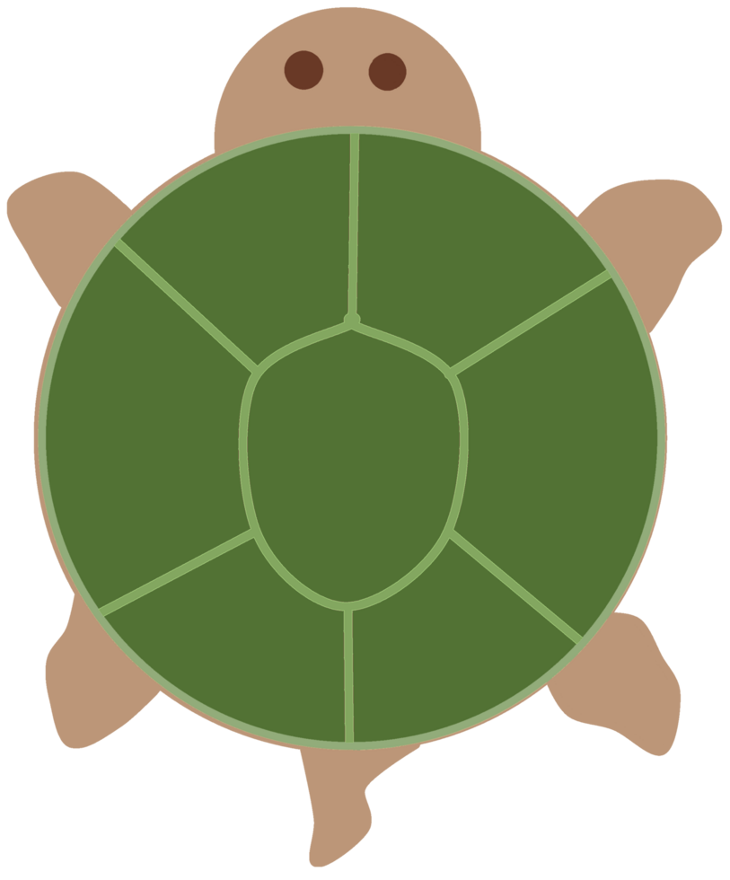 Tortoise, turtle simple digital cartoon line icon artwork divided isolated Element illustration png