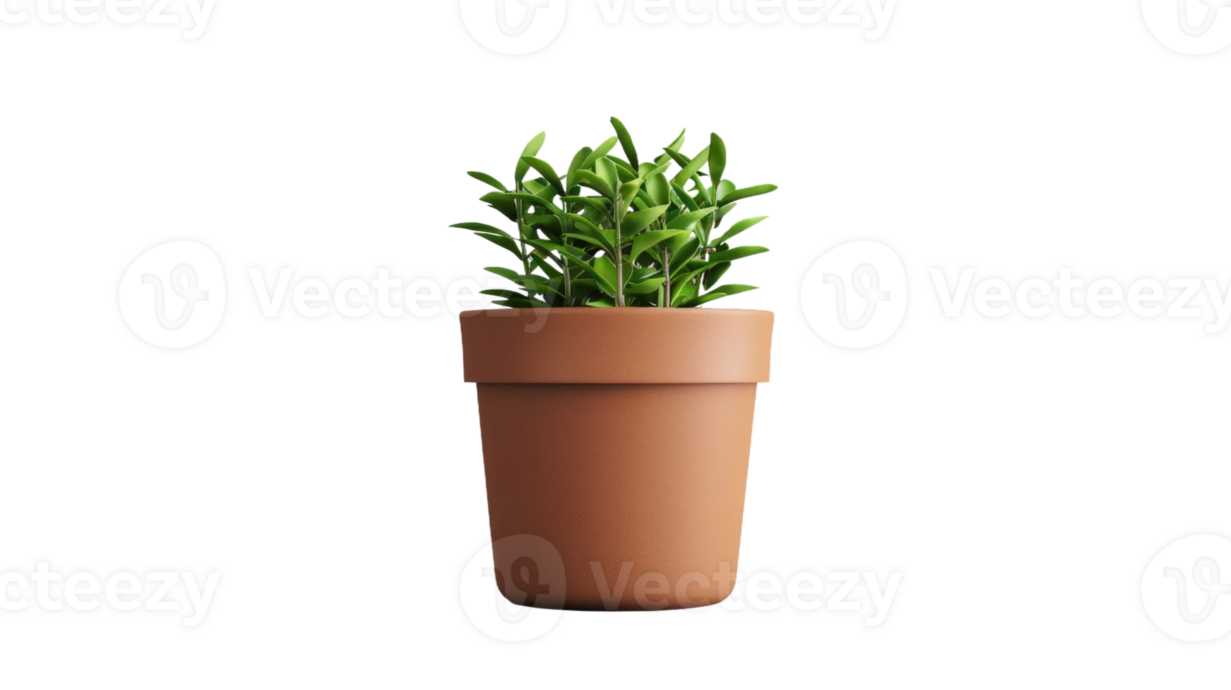 Realistic Plant Pot on the transparent background, Format png