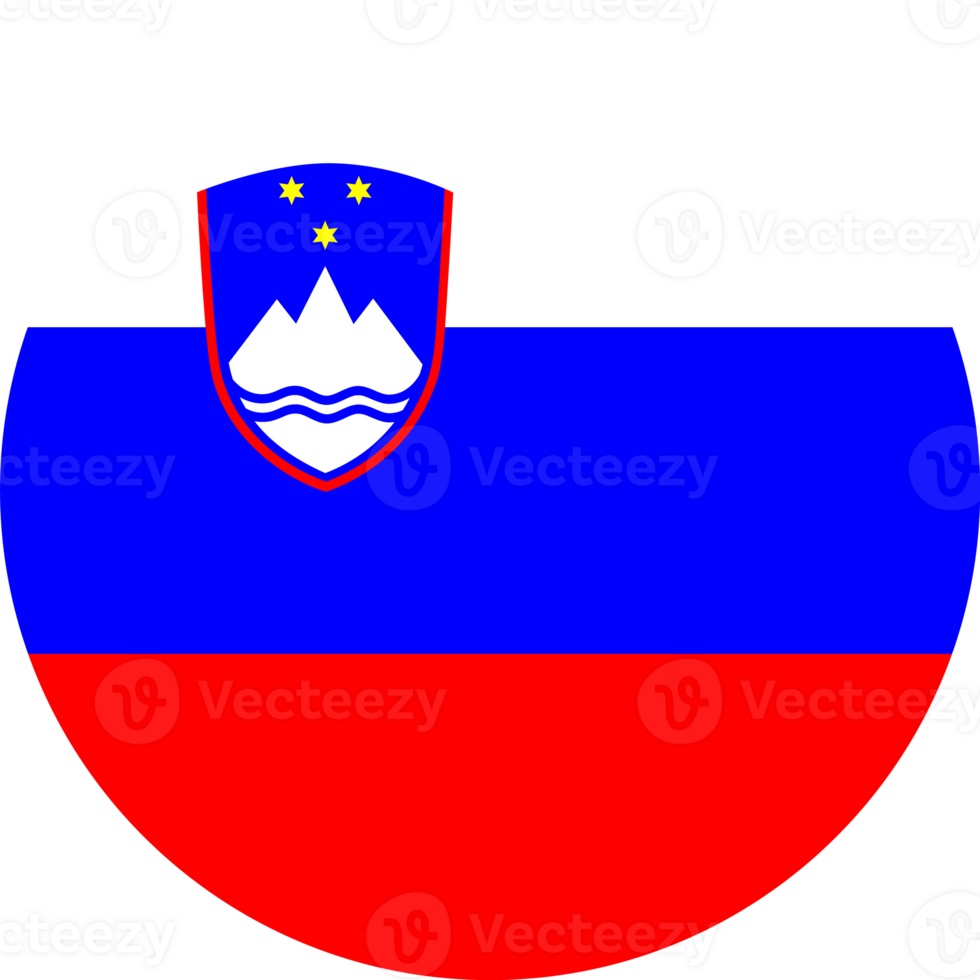 Slovenia flag button png