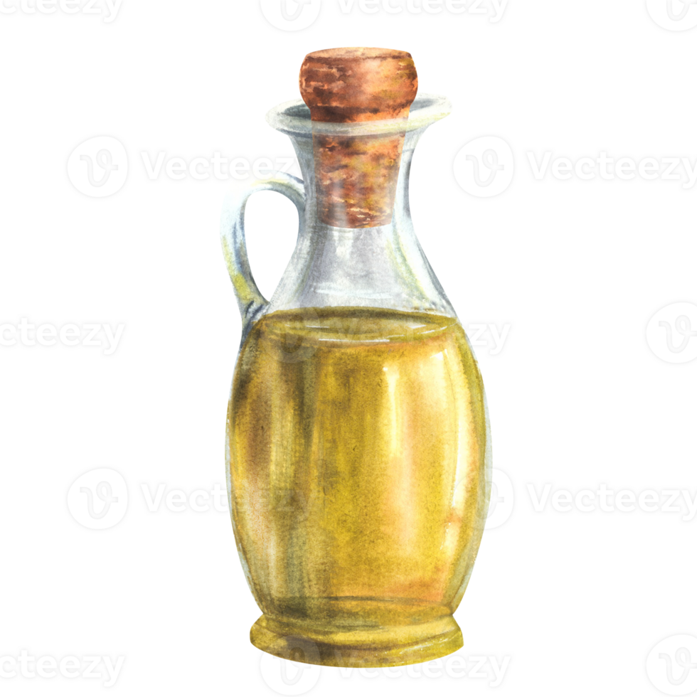 Watercolor olive oil in glass bottle, carafe, jug with cork. Cooking oil or fat food vegetable sauce. Hand drawn illustration for packaging labels, restaurant menu. Isolated clipart background. png