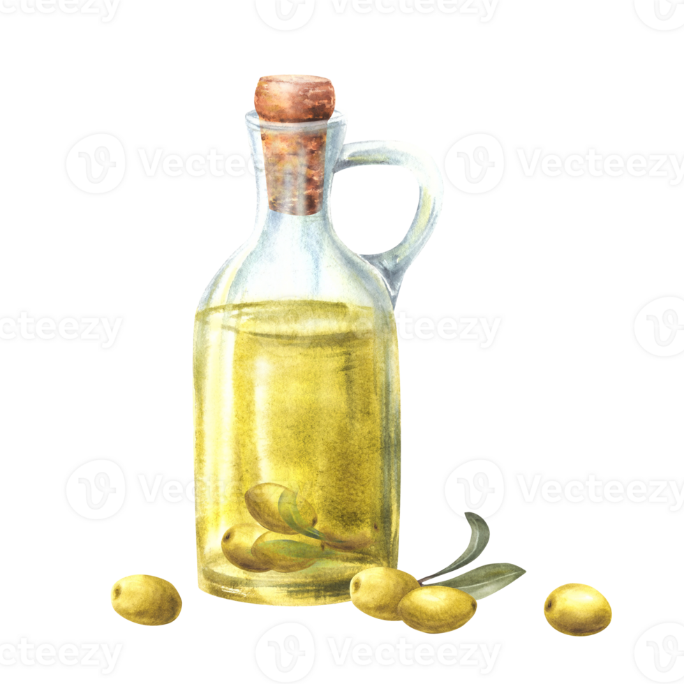 Olive oil in glass jug, bottle with cork and olive leaves and berries. Watercolor hand drawn illustration for Mediterranean food sauce vegan label, vegetarian menu. Isolated clipart white background png