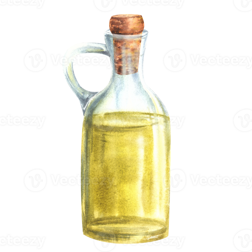 Olive oil in glass bottle, carafe, jug with cork. Cooking oil or fat food vegetable sauce. Watercolor hand drawn illustration for packaging labels, menus, cards print Isolated clipart background png