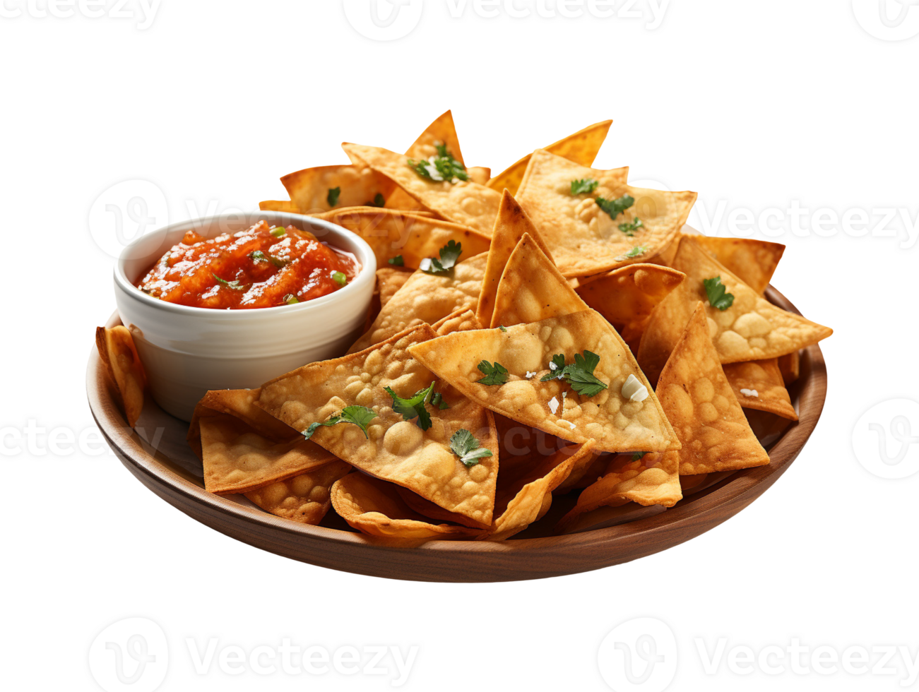 nachos and salsa png