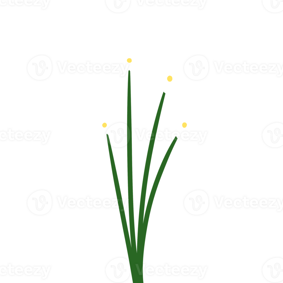 a bunch of white flowers png