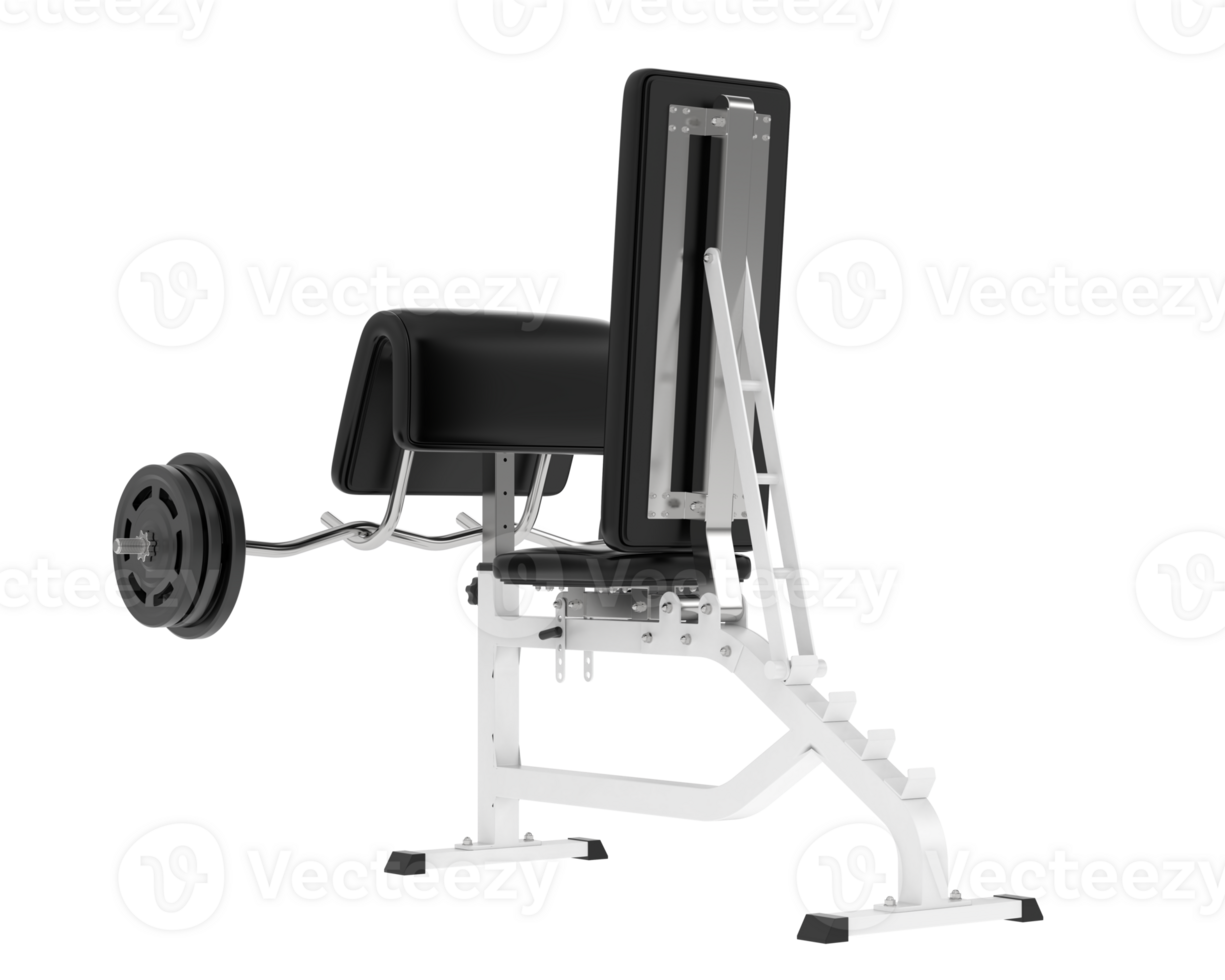 Arm curl bench isolated on background. 3d rendering - illustration png