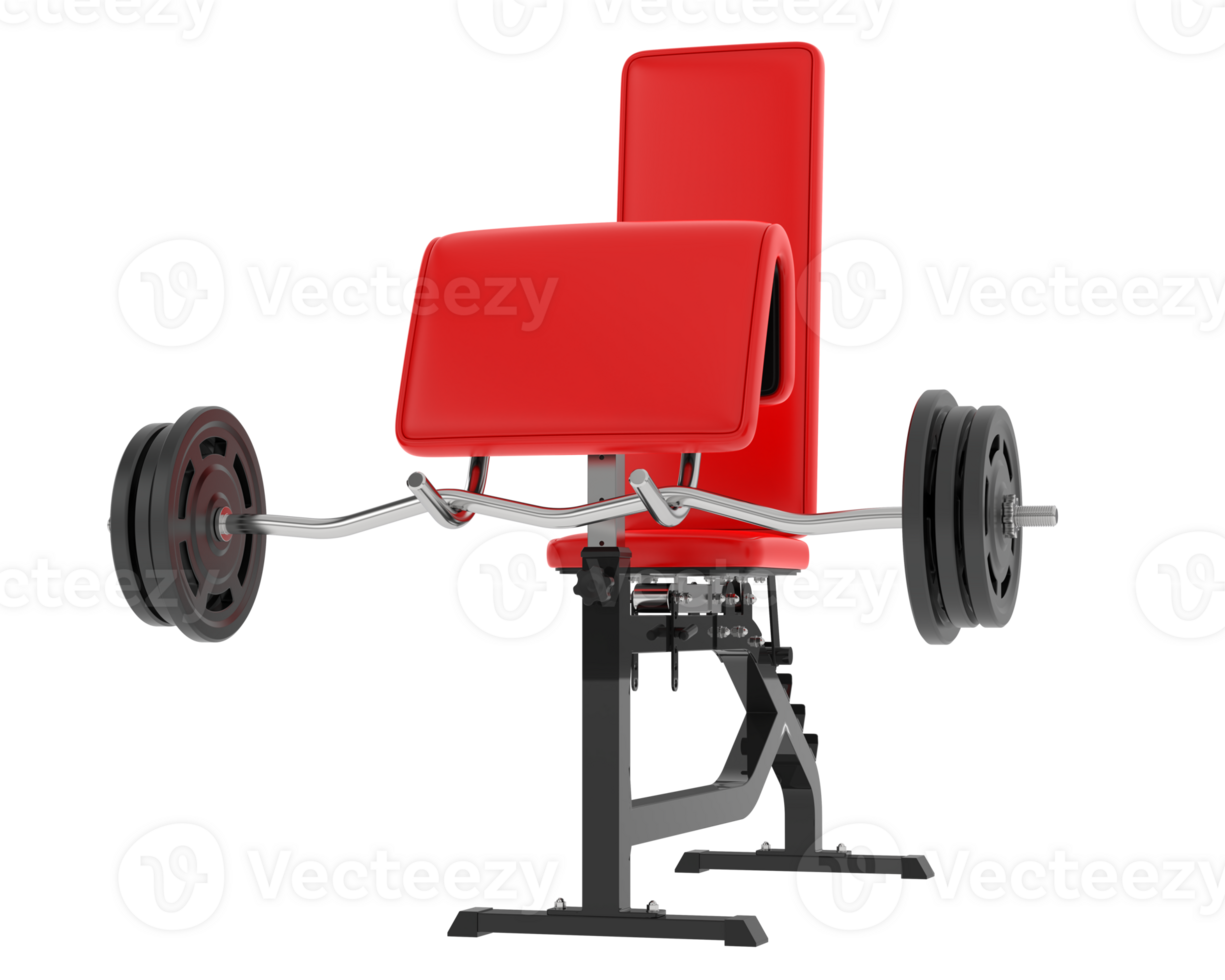 Arm curl bench isolated on background. 3d rendering - illustration png