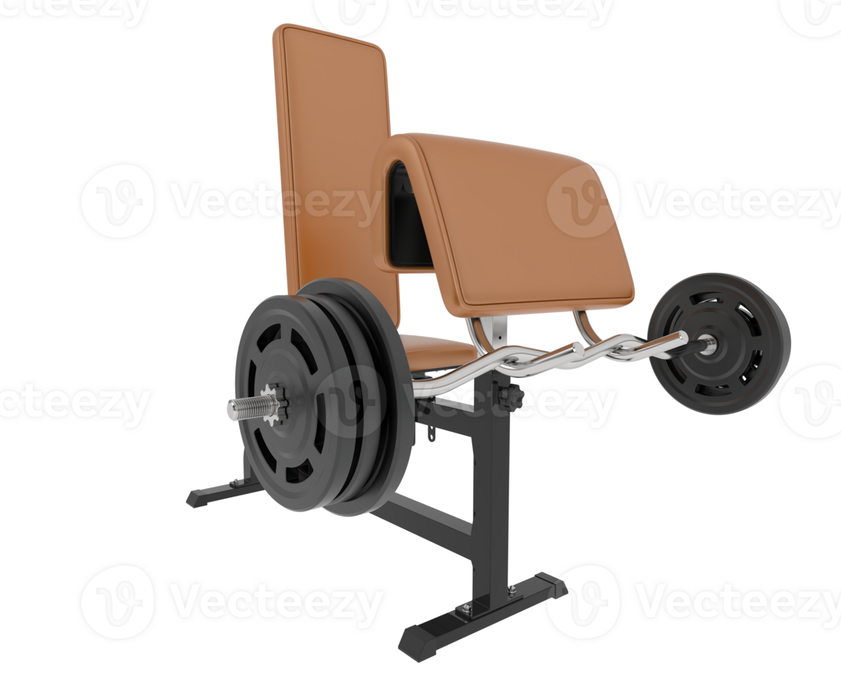 Arm curl bench isolated on background. 3d rendering - illustration png