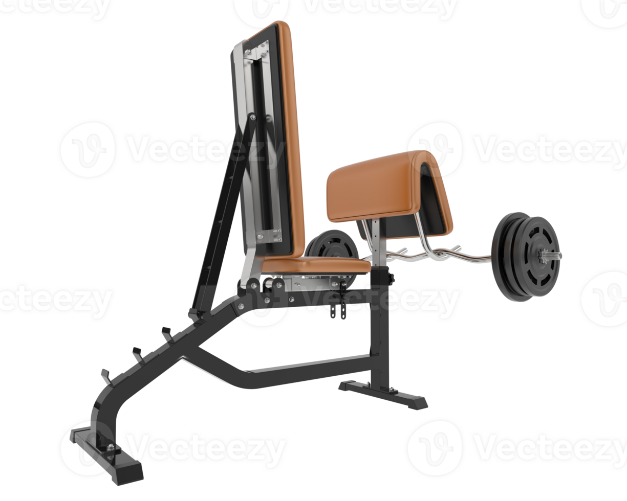 Arm curl bench isolated on background. 3d rendering - illustration png
