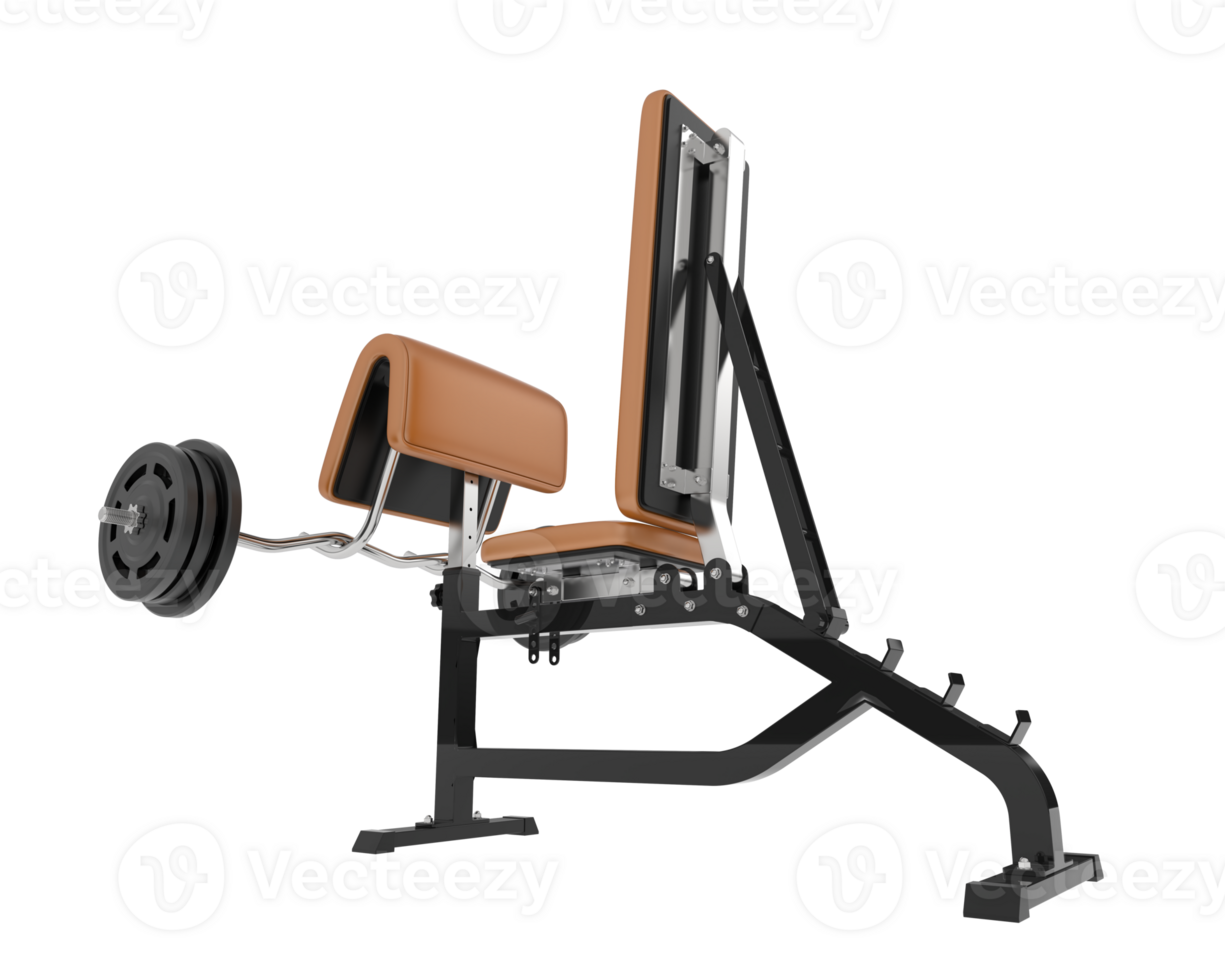 Arm curl bench isolated on background. 3d rendering - illustration png