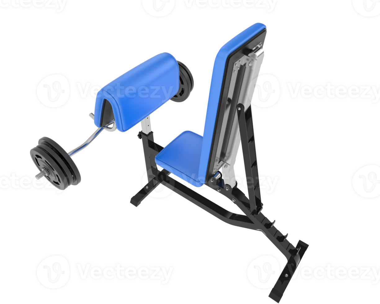 Arm curl bench isolated on background. 3d rendering - illustration png
