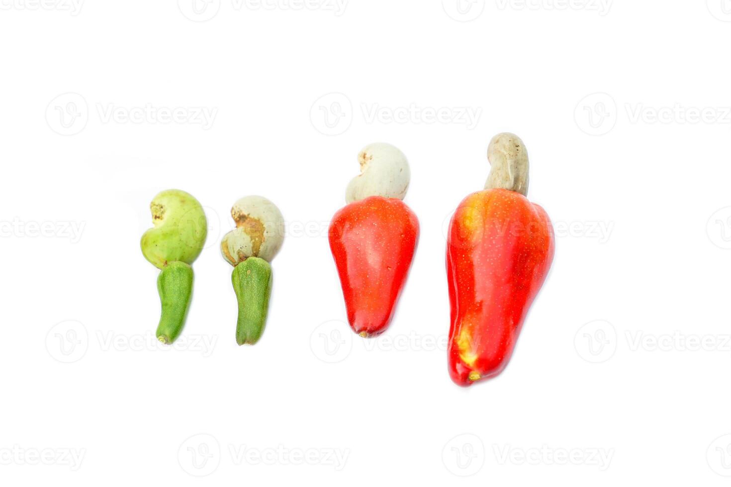 isolated young and ripe of cashew nuts on a white background. The fruit is red and at the end of the fruit is a seed shaped like a kidney. photo