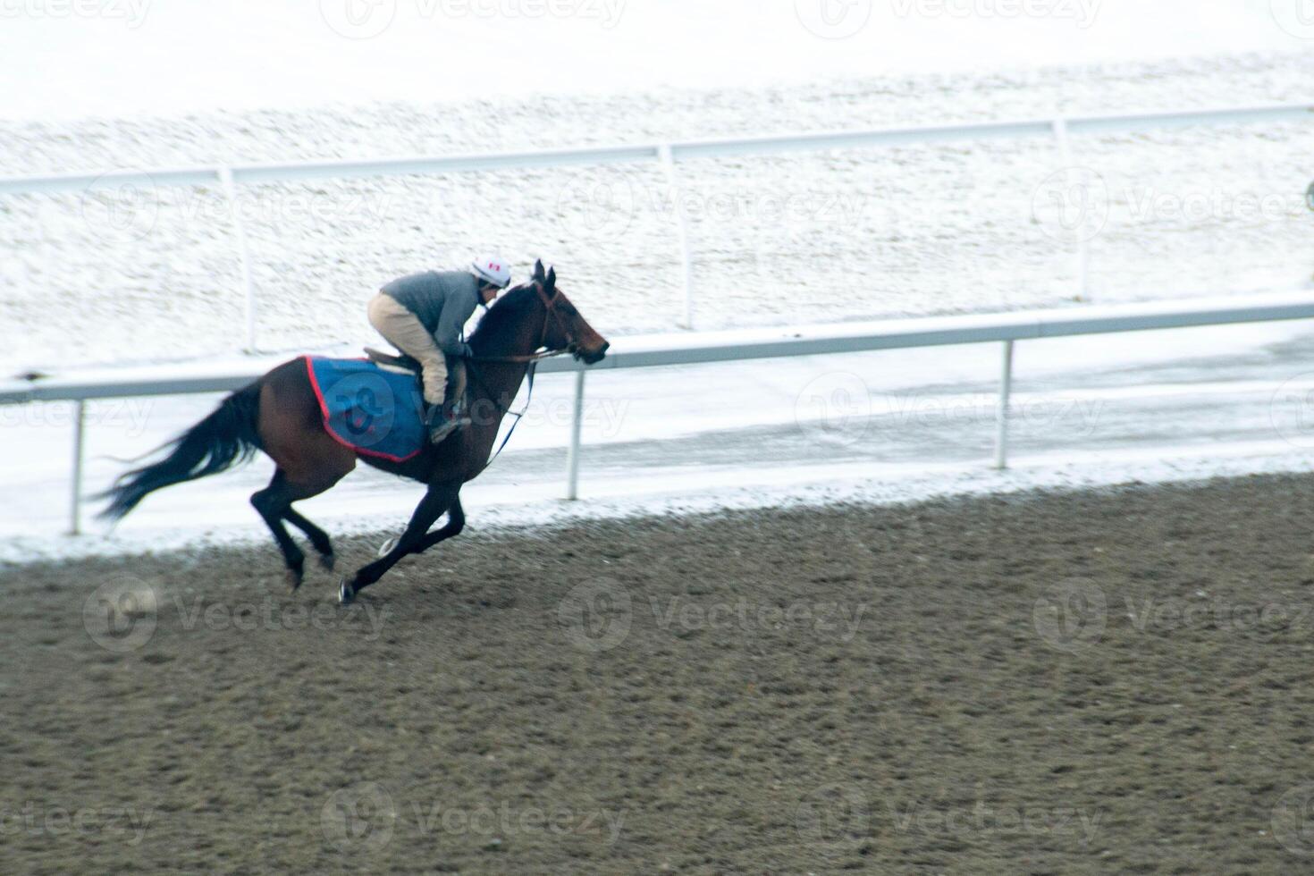 Race horse with jockeys on the home straight. Shaving effect. photo