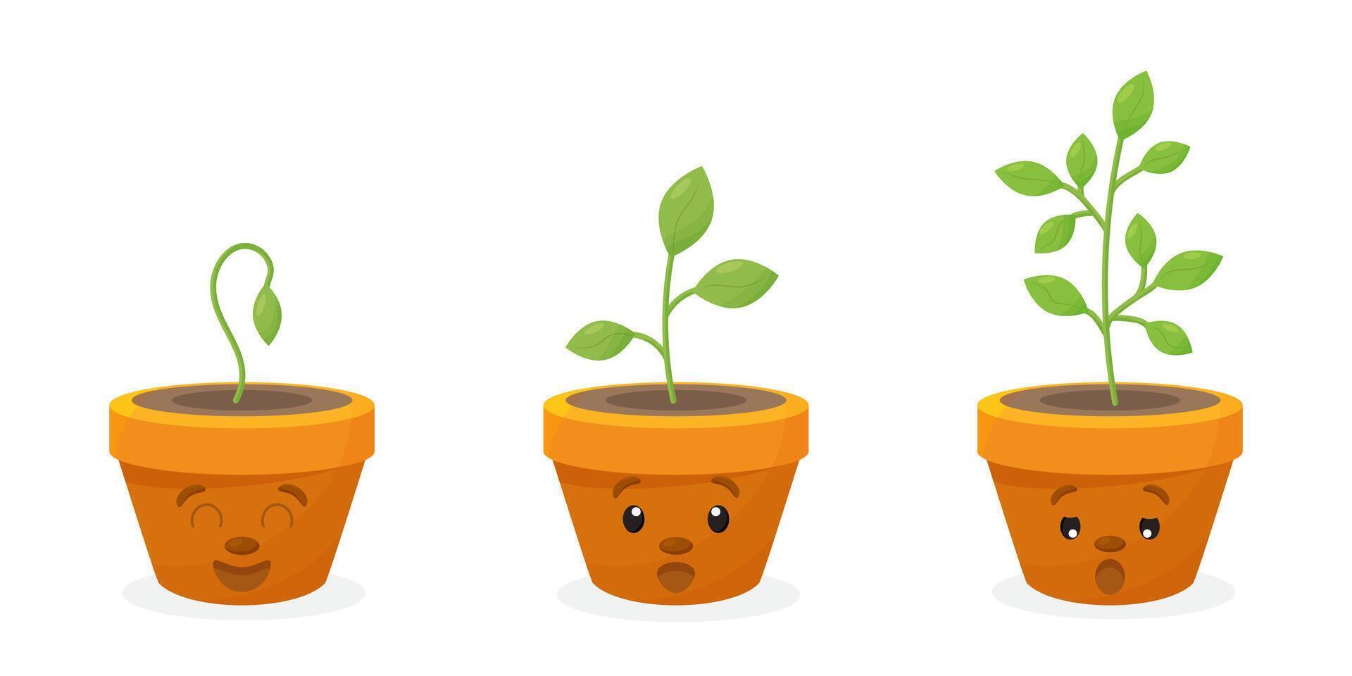 Young baby green plants growing in germination sequence on plastic pot with fertile soil. vector