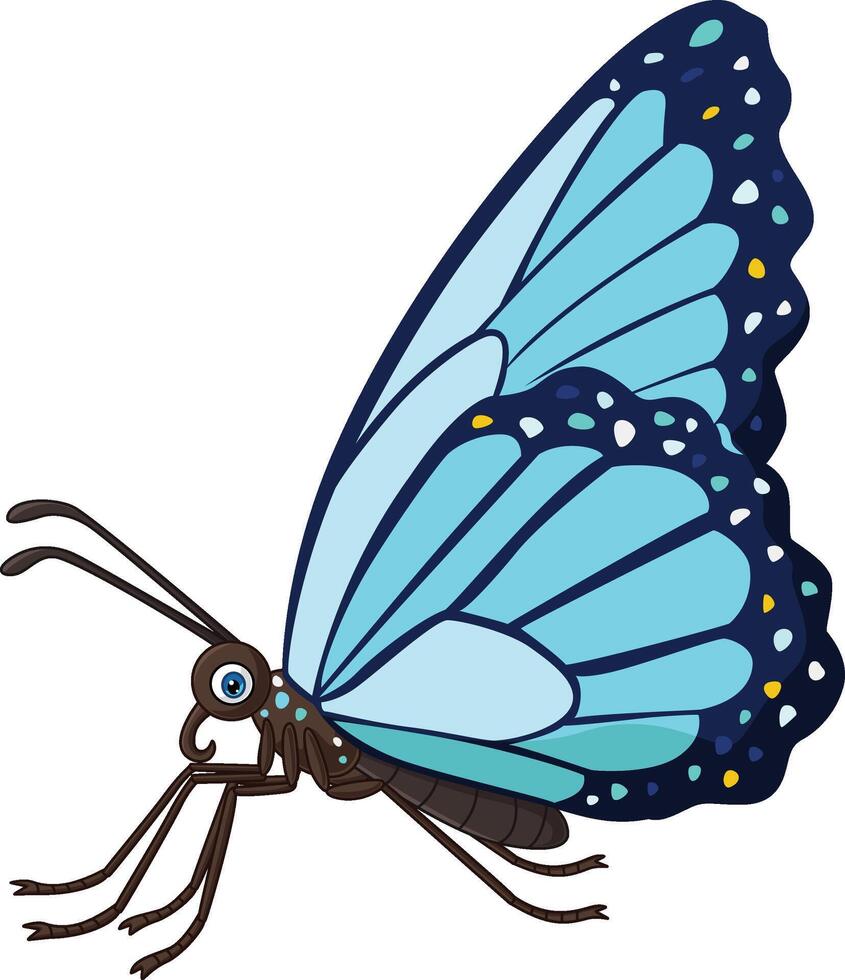Cartoon butterfly on white background vector
