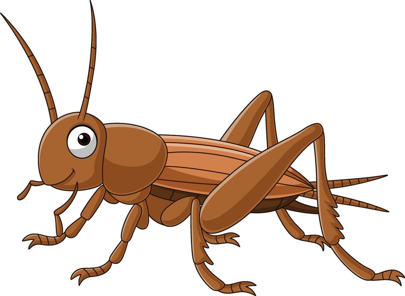 Cartoon grasshopper on white background vector